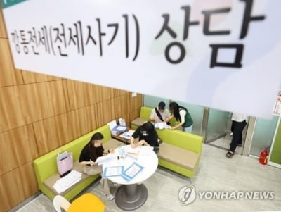 경기도, 전세사기 가담 의심 공인중개사 362명 특별점검
