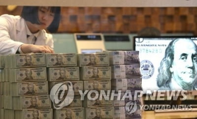 세계 외환보유액 달러 비중 낮은 수준…"탈달러 조짐은 없어"