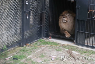 최근 5년 동물원서 폐사한 멸종위기종 2천마리 달해