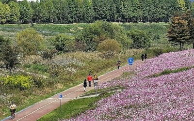 전국 맑다가 밤부터 구름 많아져…낮 최고기온 21∼24도