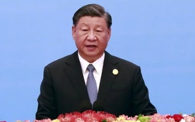 시진핑 "빠른 휴전이 급선무…'두 국가 방안'이 근본 해법"