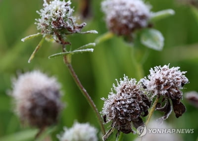 강원 맑고 낮 최고 16~22도…내륙·산지에 서리