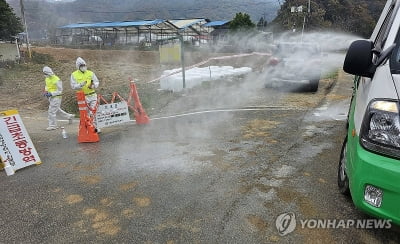 한우의 고장 횡성까지 럼피스킨병 뚫려…강원 농가 2번째 확진