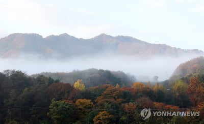 강원 대체로 맑음…산지·내륙 짙은 안개