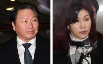 최태원 "노소영, 재산분할 위해 언플…십수년 동안 남남"