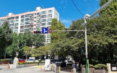 "재건축 믿고 버틴다"…노후화에도 '31억' 신고가 쓴 아파트