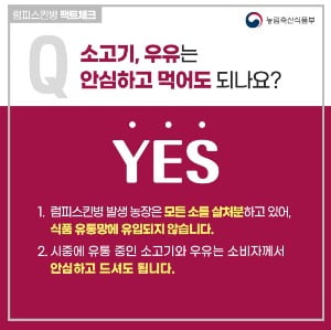 럼피스킨병 확산, 우유 안심하고 먹어도 되나요? YES!