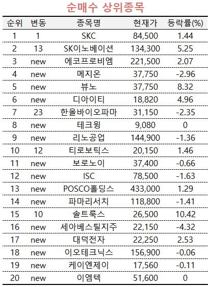 [마켓PRO] SKC·SK이노·에코프로비엠…배터리株 담는 초고수들