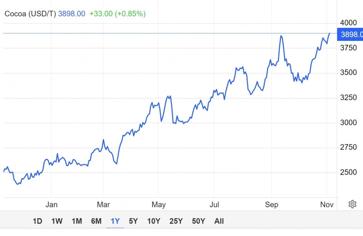 코트디부아르 등 생산량 급감…코코아 가격 45년 만에 최고치 [원자재 포커스]