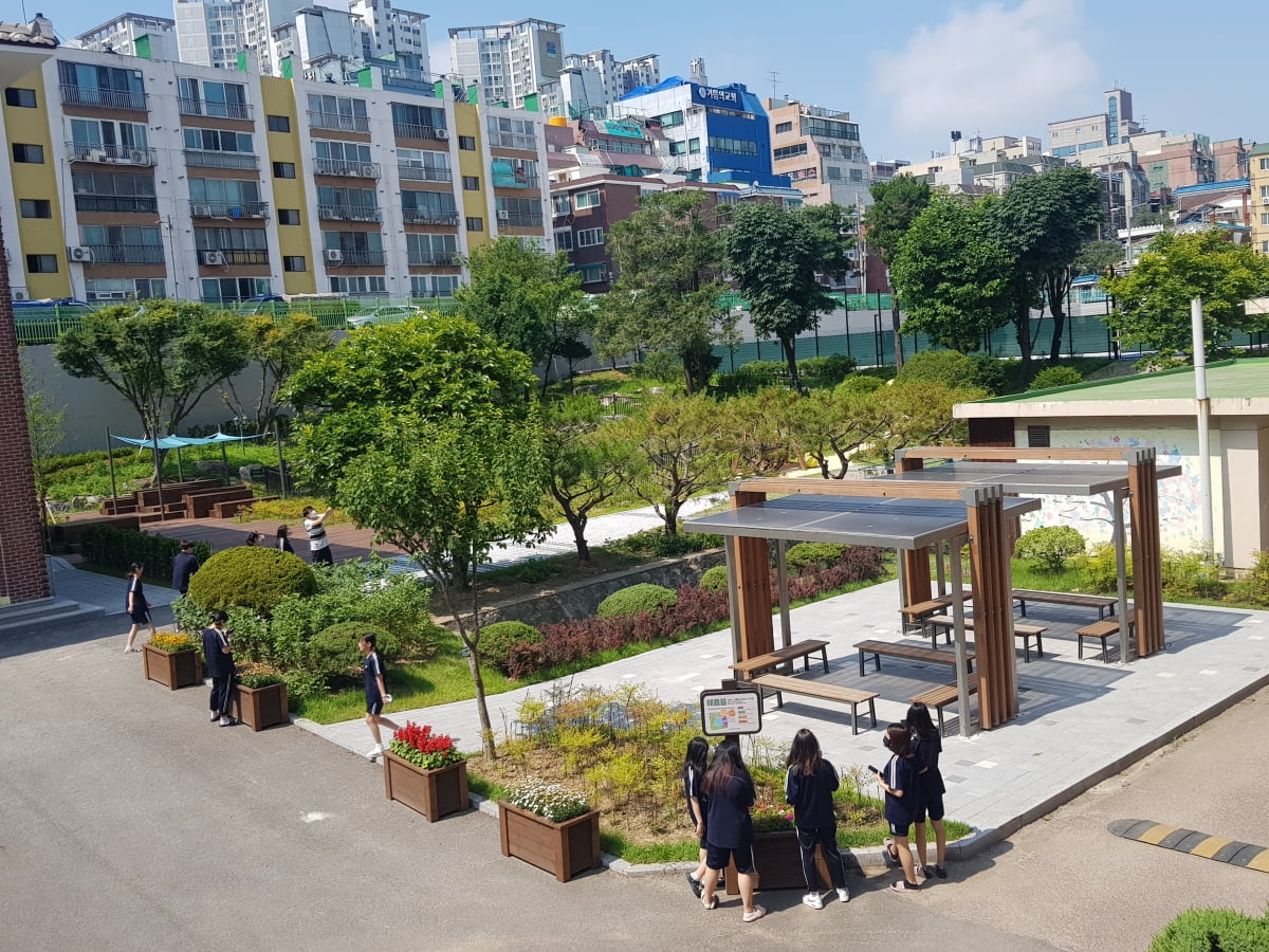 학교 숲을 우수하게 꾸민 학교 중 신규 조성 분야에 산림청 대상을 차지한 인천시 미추홀구 제물포 여자 중학교의 학교 숲 전경. 산림청 제공