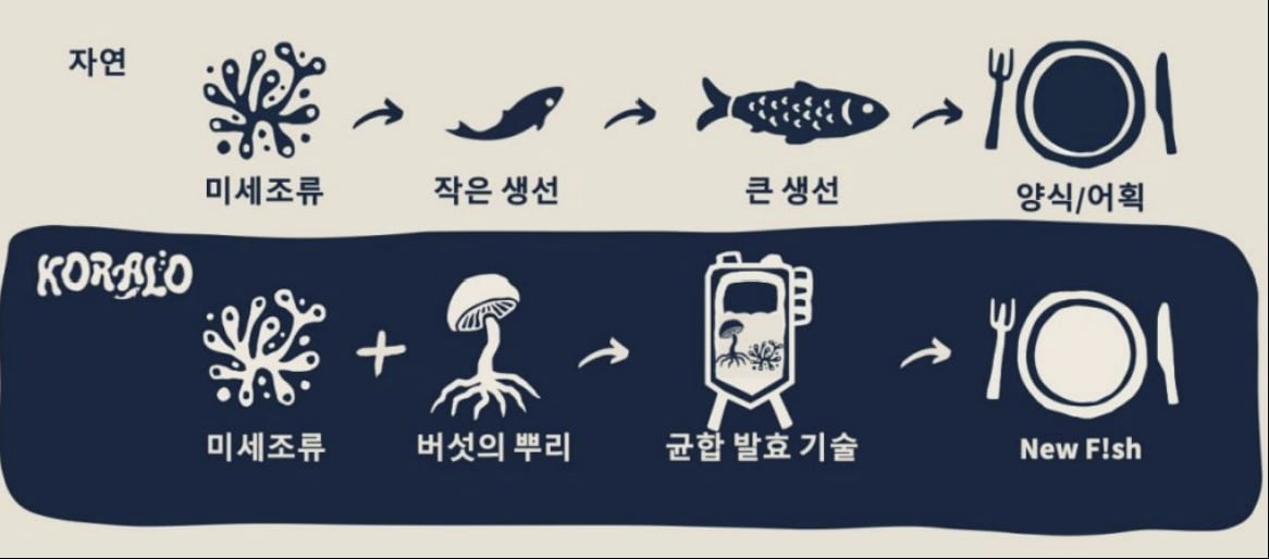 코랄로의 대체 수산물 제조 과정. 