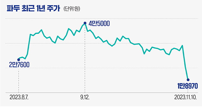 [마켓PRO] 이틀 만에 주가 반토막 난 파두, 뒤늦은 '고평가 논란'…부진한 실적 예상했나