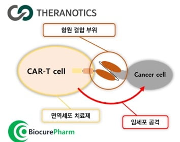 세라노틱스·바이오큐어팜 공동개발 면역세포치료제 개요. 자료 제공=세라노틱스