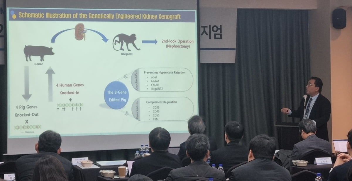 18일 충북 청주 오송호텔에서 열린 '제2회 이종장기이식 임상 관련 국제 심포지엄'에서 윤익진 건국대병원 교수가 이종이식과 관련해 발표하고 있다. 옵티팜 제공