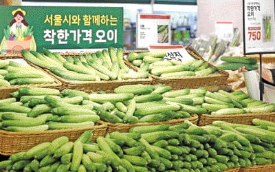 오이 사러 마트 갔다가…"이 가격 실화?" 화들짝 [한경제의 신선한 경제]