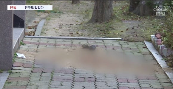 서울의 한 아파트 단지에서 초등학생이 던진 돌에 맞아 70대 남성이 사망하는 사고가 발생했다. 사진은 사고 현장./사진=TV조선 보도화면 갈무리.