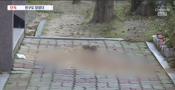 서울의 한 아파트 단지에서 초등학생이 던진 돌에 맞아 70대 남성이 사망하는 사고가 발생했다. 사진은 사고 현장. TV조선 보도화면 갈무리.
