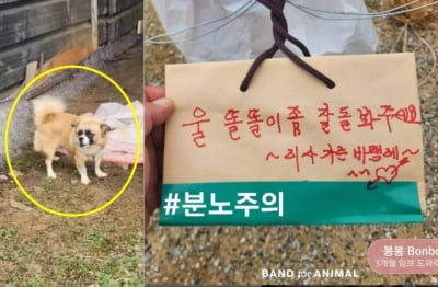 "이사 가는 바람에♡"…강아지 버리며 남긴 '황당 메모' 공분