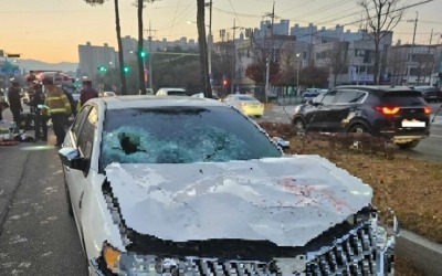 80대 남성이 몰던 '링컨차' 파란불에 돌진…3명 숨져