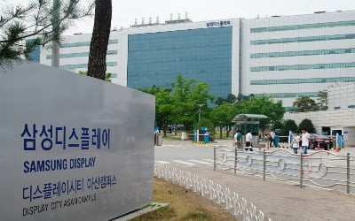 삼성디스플레이 '영업비밀' 中에 빼돌린 협력업체 직원들 실형