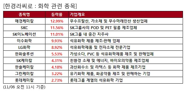 애경케미칼,SKC,SK이노베이션,이수화학,LG화학,한화솔루션,SK케미칼,한솔케미칼,그린케미칼,롯데케미칼