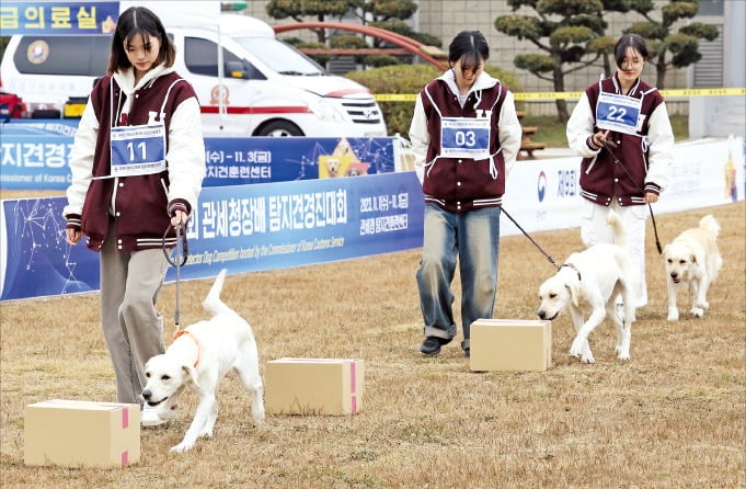 [포토] 탐지견 경진대회…“내가 다 찾을게요” 