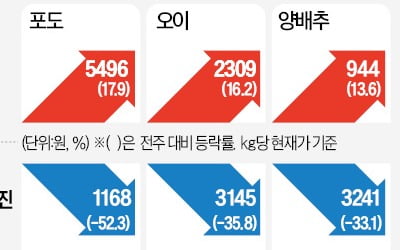 치솟던 농산물 가격 꺾였다