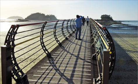 마리아 보타가 2019년 자은도 본섬과 무인도를 잇도록 설계한 ‘무한의 다리’. 