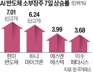 2차전지 판 외국인, AI반도체株는 '폭풍매수'