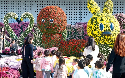 [포토] 카지노 꽁머니 지급 가을국화 보러왔어요