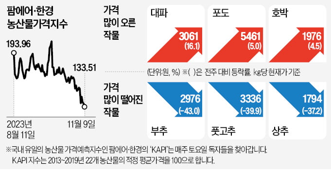 여름 폭염 여파 11월까지…대파값 1주 새 16% 올라