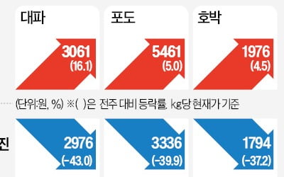 여름 폭염 여파 11월까지…대파값 1주 새 16% 올라