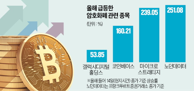 코인·기술주 담은 '고위험 ETF' 수익률 훨훨