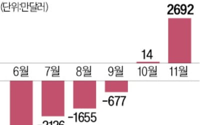 "美·中 정상회담 호재"…늘어나는 중학개미