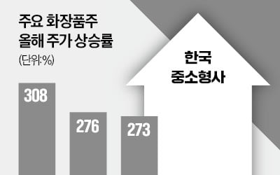 중소형 화장품株 호실적…주가도 예쁘네