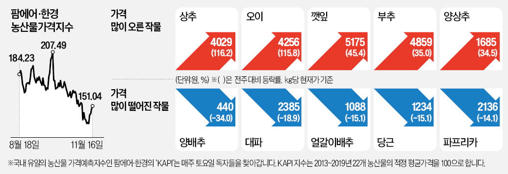 갑자기 찾아온 추위에 오이·상추값 급등…김장 배추·무는 안정세