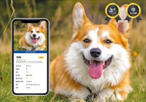 반려동물 비문 활용한 인증 서비스