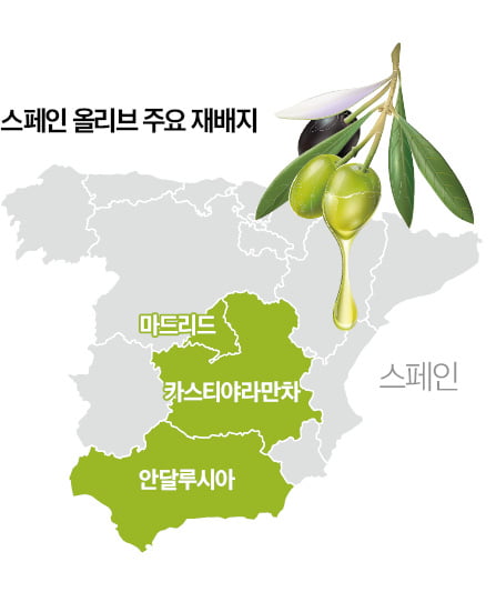 '지중해 초록보물'이 품은 천년의 비밀