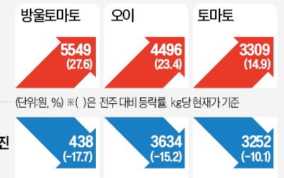 재고 늘어난 마늘 올해는 '안정'