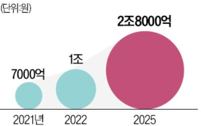 샤넬·에르메스·나이키 '리셀 금지'에 제동