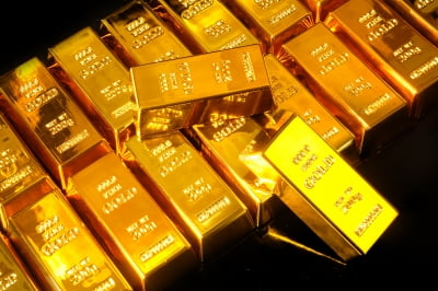 금에 눈 돌리는 젊은 층… “금 계좌 소유자 절반이 30대 이하”