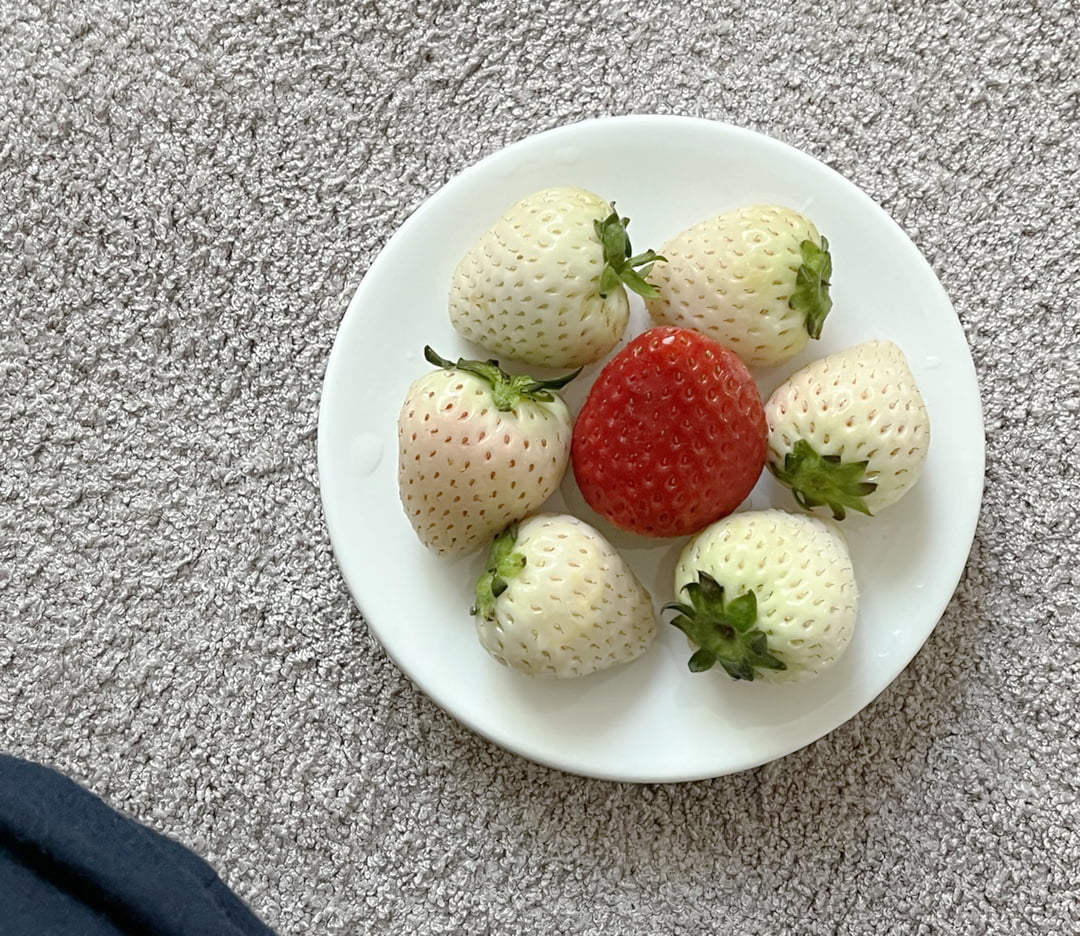 식품업계 성공 보증수표 된 #딸기, 빨라진 ‘딸기 전쟁’
