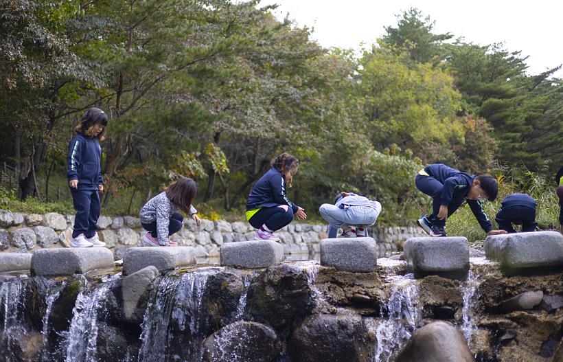 [imazine] 수목원의 가을 ② 가을빛 찬란한 경북 오지 수목원들