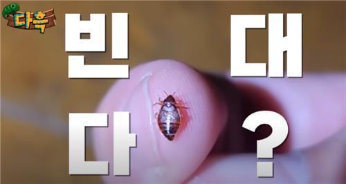 사우나서 빈대 출몰한 인천…목욕탕·숙박업소 757곳 점검