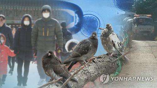 "동물유래 전염병 사망자, 2050년까지 12배로 늘 수도"