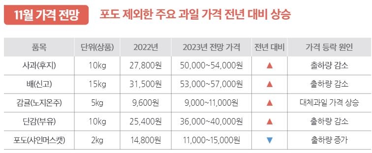 이달에도 과일 비싸다…사과 도매가, 1년 전의 '두 배'