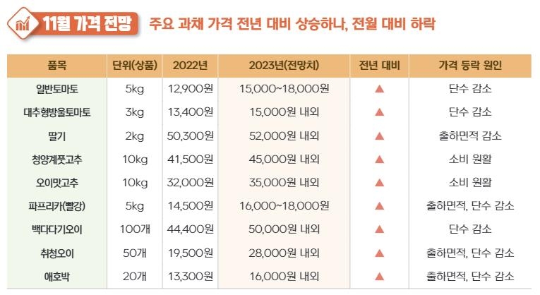 이달에도 과일 비싸다…사과 도매가, 1년 전의 '두 배'