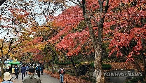 [픽! 정읍] 울긋불긋 내장산 단풍 절정