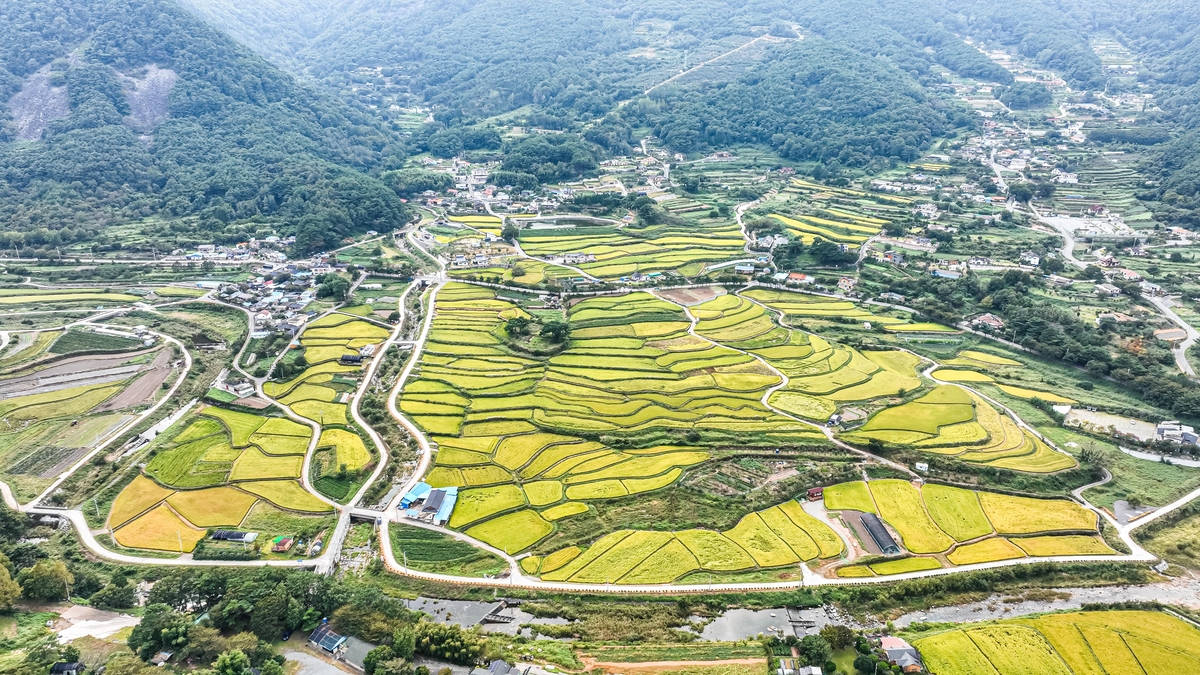 통영 한산도 대고포마을·함안 여항면 다랑논에 지역특화사업