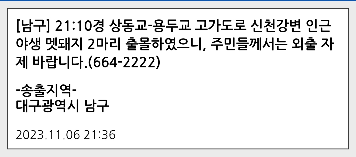 대구 상동교-용두교 인근 신천강변 멧돼지 출몰…인명피해 없어